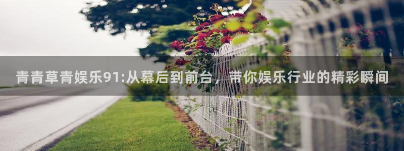 壹号app下载：青青草青娱乐91:从幕后到前台，带你娱乐行业的精彩瞬间