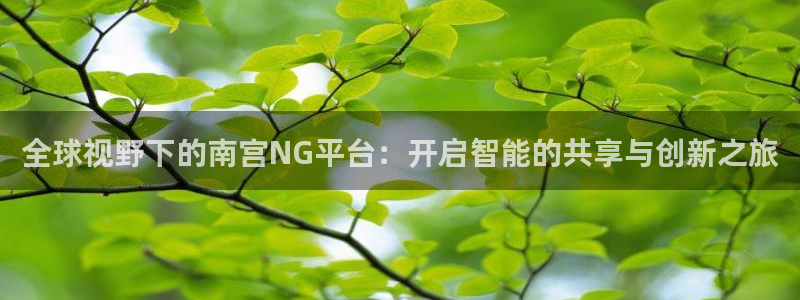 极悦娱乐的平台：全球视野下的南宫NG平台：开启智能的共享与创新之旅