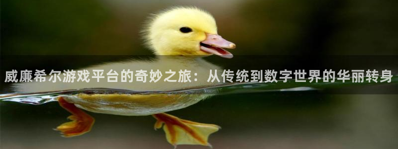 极悦娱乐平台官网登录入口：威廉希尔游戏平台的奇妙之旅：从传统到数字世界的华丽转身