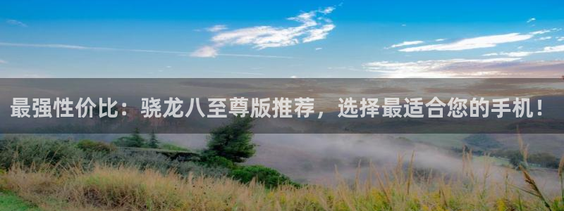 极悦娱乐网站平台：最强性价比：骁龙八至尊版推荐，选择最适合您的手机！