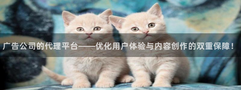 极悦娱乐：广告公司的代理平台——优化用户体验与内容创作的双重保障！