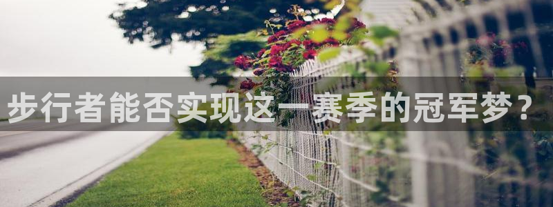 极悦娱乐充值怎么退款：步行者能否实现这一赛季的冠军梦？