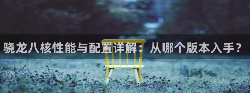 极悦娱乐账号注册入口：骁龙八核性能与配置详解：从哪个版本入手？