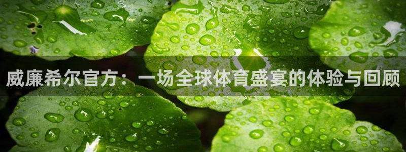 极悦娱乐网站：威廉希尔官方：一场全球体育盛宴的体验与回顾