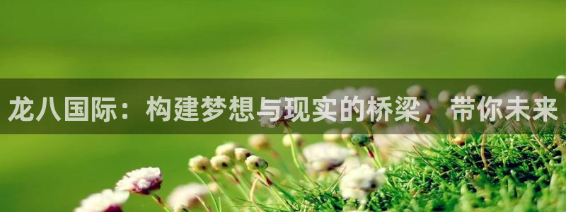 极悦娱乐下载链接：龙八国际：构建梦想与现实的桥梁，带你未来