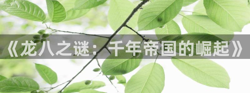 极悦雪：《龙八之谜：千年帝国的崛起》