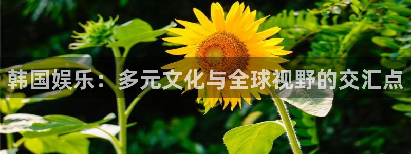 极悦娱乐注册网站：韩国娱乐：多元文化与全球视野的交汇点