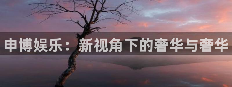 极悦登陆：申博娱乐：新视角下的奢华与奢华