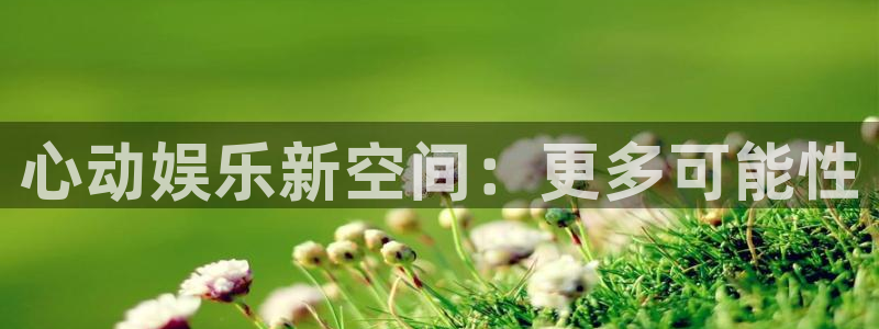 极悦娱乐游戏官网版：心动娱乐新空间：更多可能性