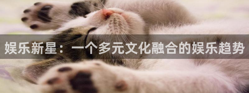 极悦娱乐app下载安装：娱乐新星：一个多元文化融合的娱乐趋势