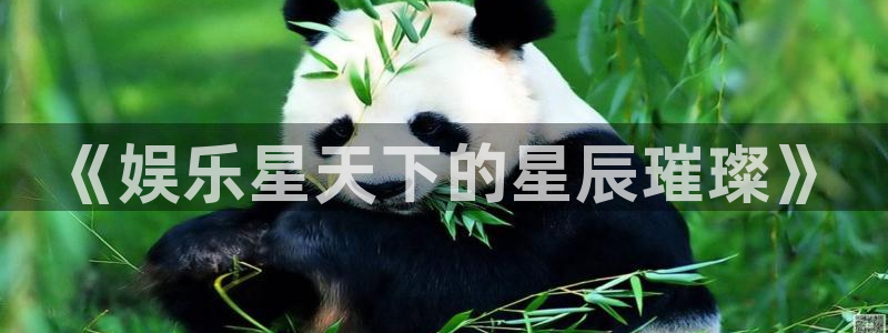极悦娱乐app入口：《娱乐星天下的星辰璀璨》