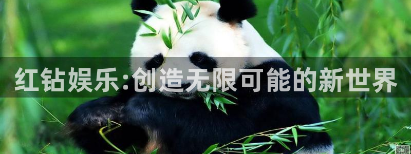 极悦登陆：红钻娱乐:创造无限可能的新世界