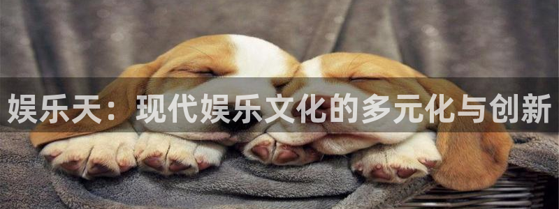 极悦生活：娱乐天：现代娱乐文化的多元化与创新