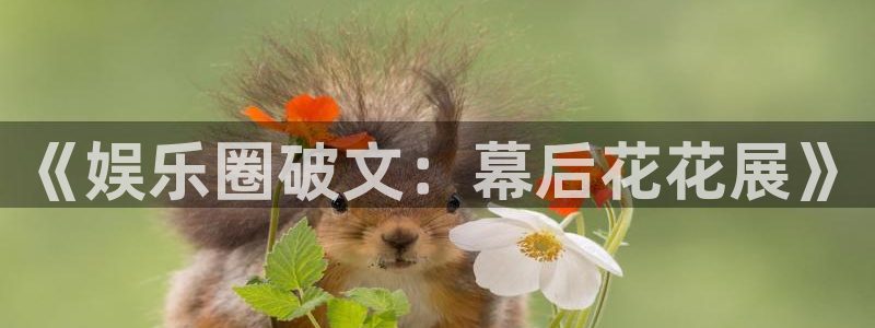 极悦娱乐app最新版：《娱乐圈破文：幕后花花展》