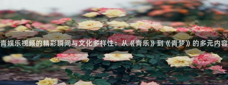 南宫极悦娱乐：青娱乐视频的精彩瞬间与文化多样性：从《青乐》到《青梦》的多元内容