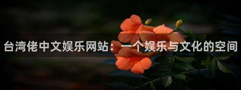 极悦娱乐app最新版怎么下载苹果：台湾佬中文娱乐网站：一个娱乐与文化的空间