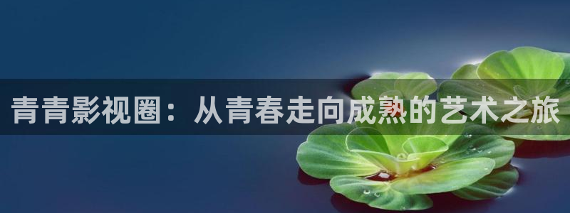 极悦娱乐网站平台