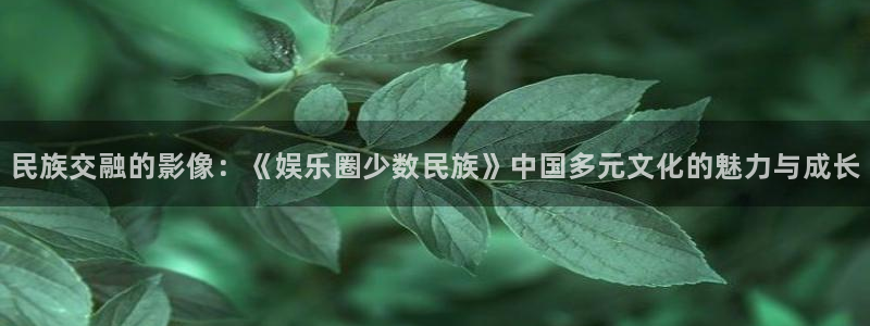 极悦娱乐ccmpc：民族交融的影像：《娱乐圈少数民族》中国多元文化的魅力与成长