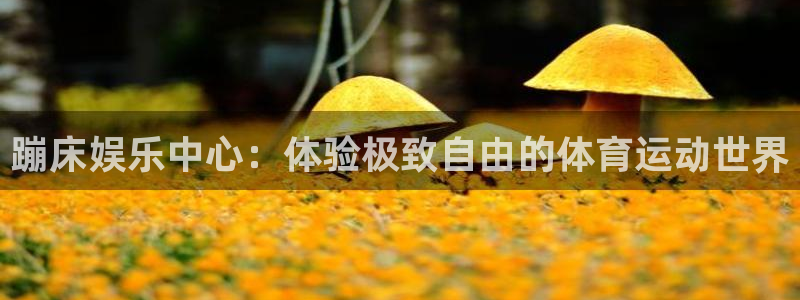 壹号大舞台28国际大舞台：蹦床娱乐中心：体验极致自由的体育运动世界