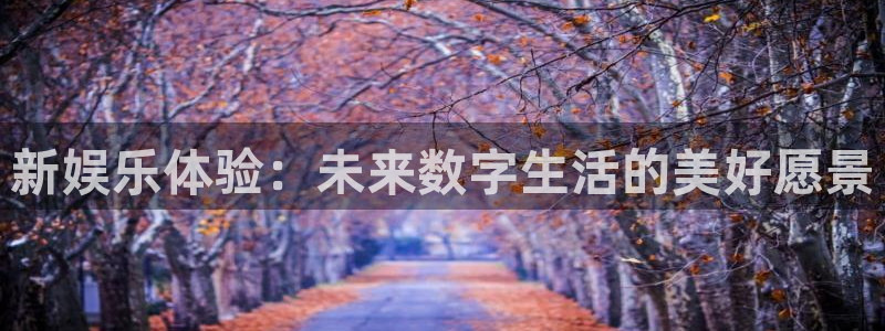极悦娱乐,apk：新娱乐体验：未来数字生活的美好愿景