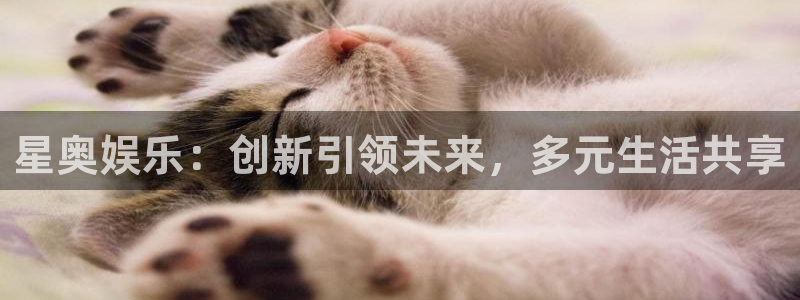 极悦直播：星奥娱乐：创新引领未来，多元生活共享