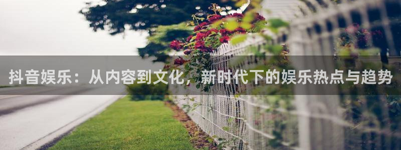 极悦平台：抖音娱乐：从内容到文化，新时代下的娱乐热点与趋势