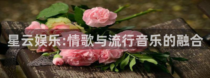 壹号大舞台娱乐传媒：星云娱乐:情歌与流行音乐的融合
