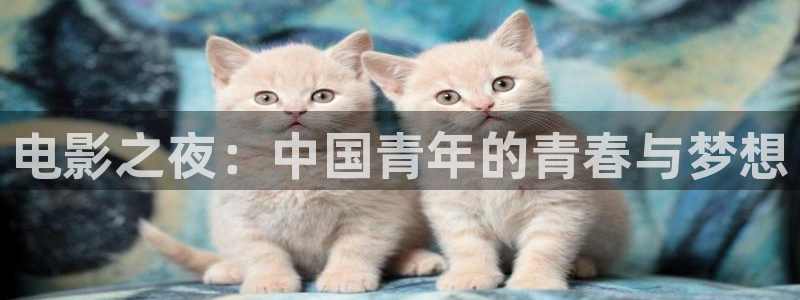 极悦娱乐app 是什么：电影之夜：中国青年的青春与梦想