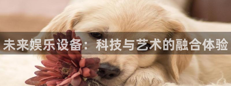 极悦注册：未来娱乐设备：科技与艺术的融合体验