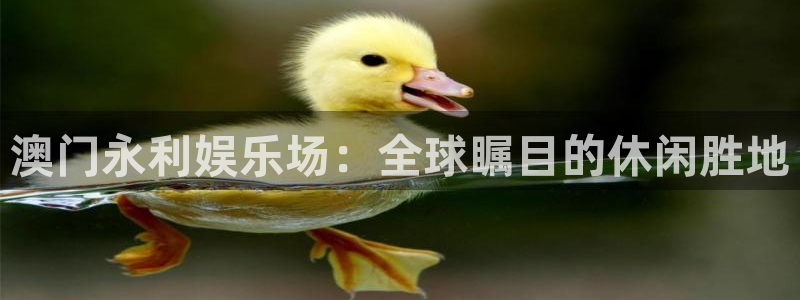 极悦娱乐娱乐：澳门永利娱乐场：全球瞩目的休闲胜地